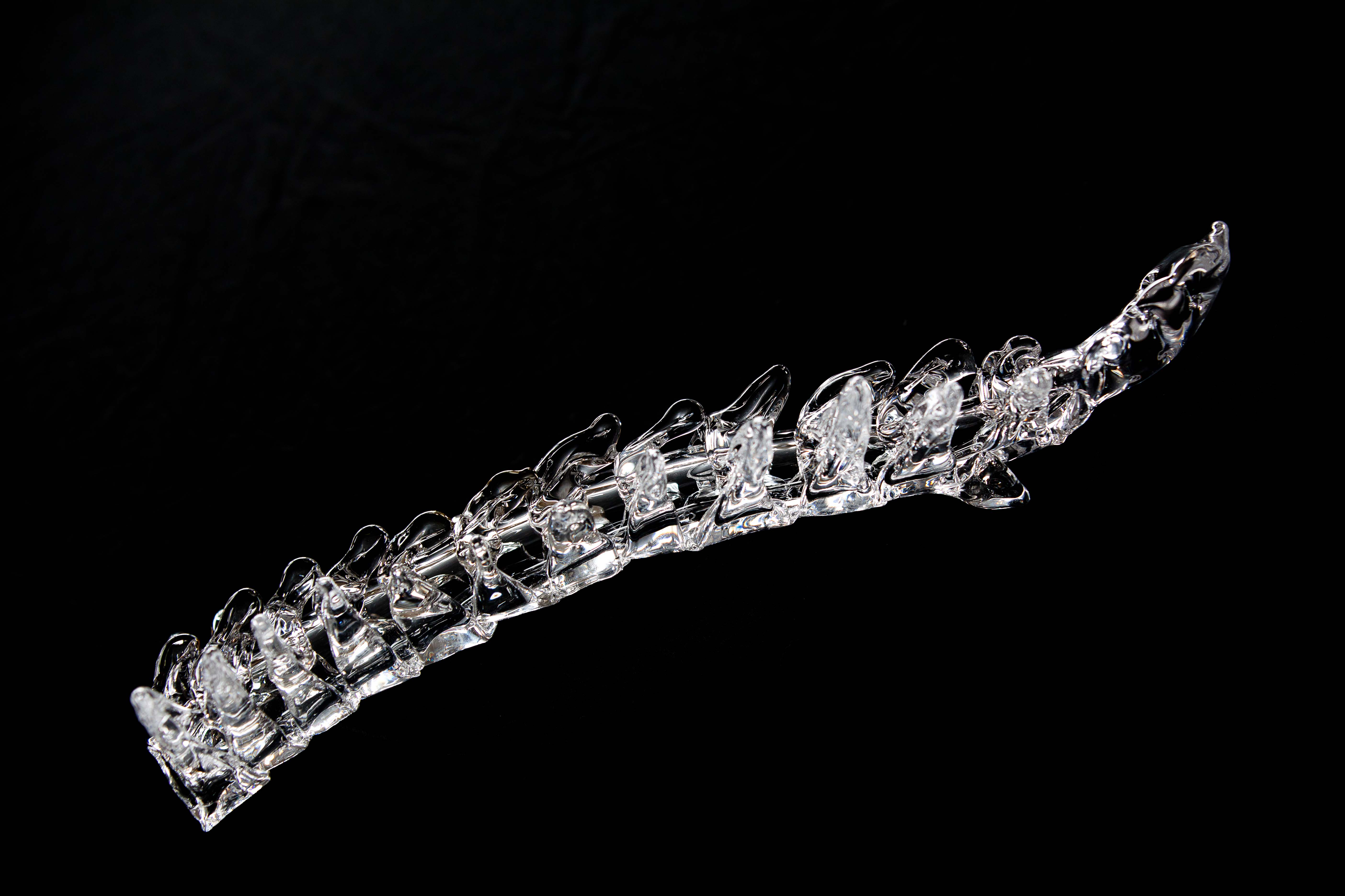 Spine, length ± 40 cm, blown glass, Photo: Ben Deiman, Leerdam National Glass Museum