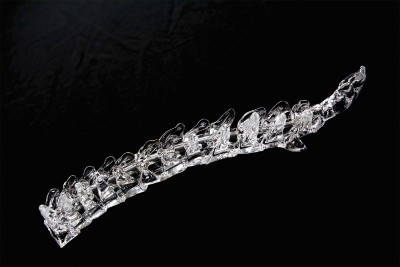 SSpine, length ± 40 cm, blown glass, Photo: Ben Deiman, Leerdam National Glass Museum